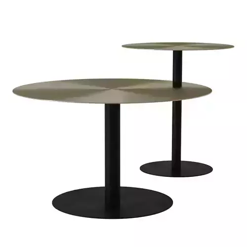 Snow brushed side and coffee table By Zuiver 3D model