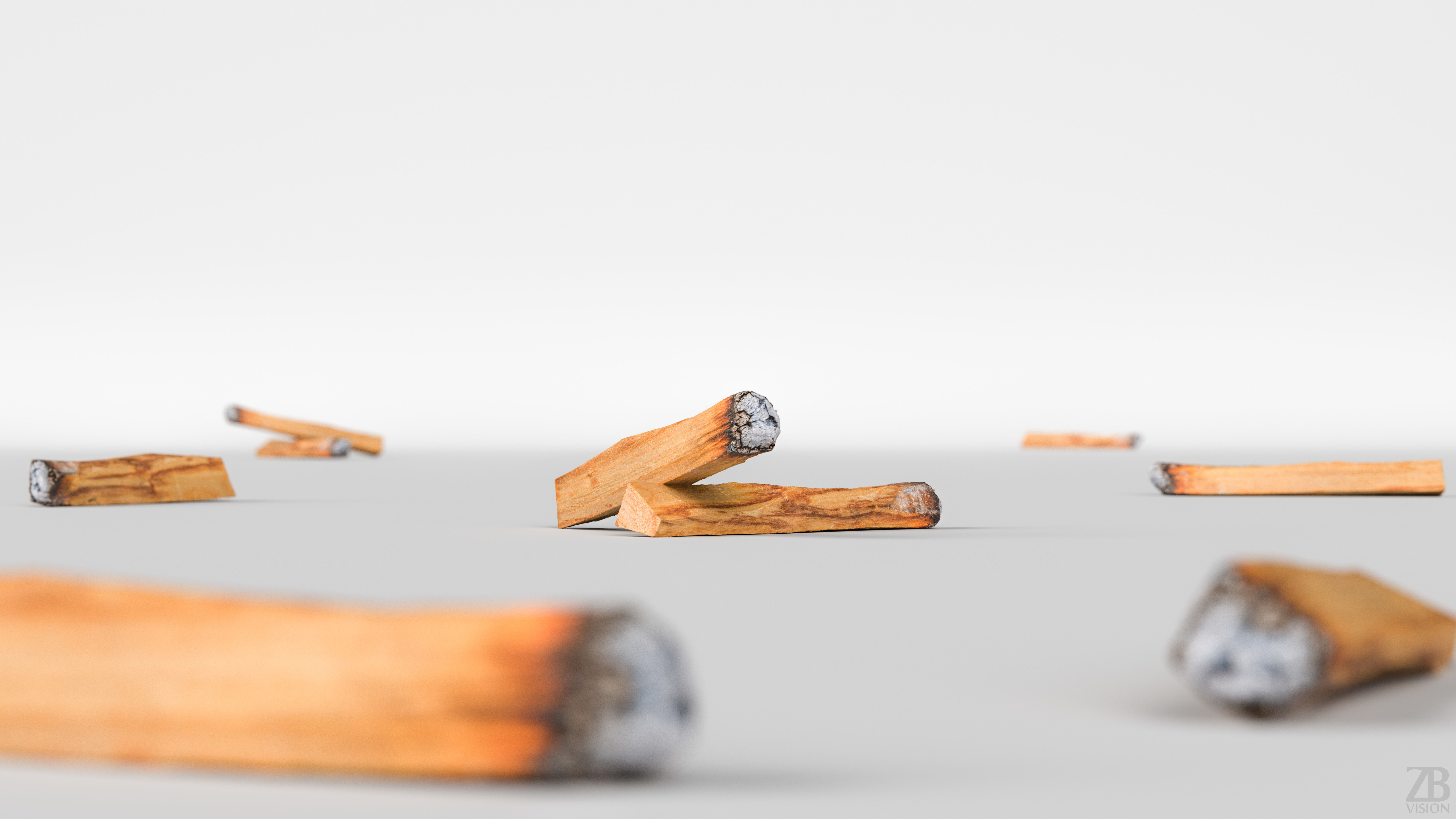 Palo Santo 3D model_1