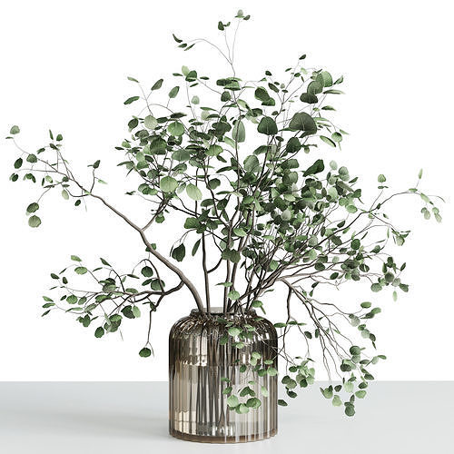 Branches plant with galss vase white bouquet 30 Low-poly 3D model