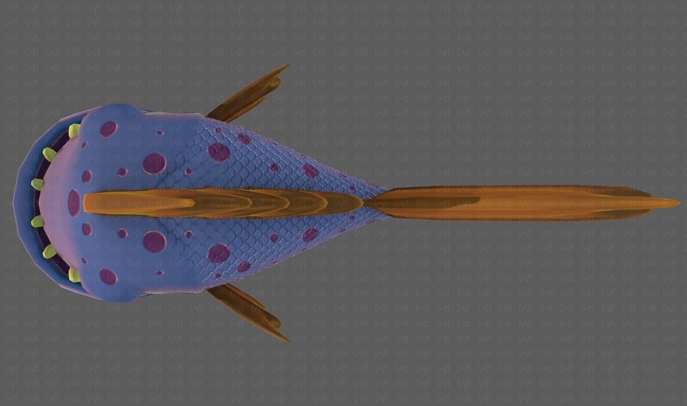 Fish V09 Low-poly 3D model_35