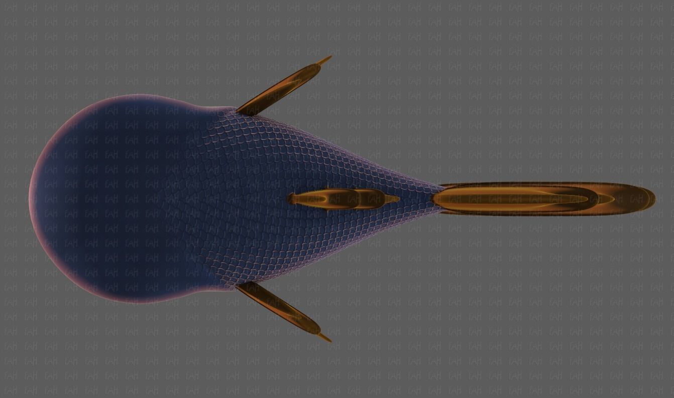 Fish V09 Low-poly 3D model_37