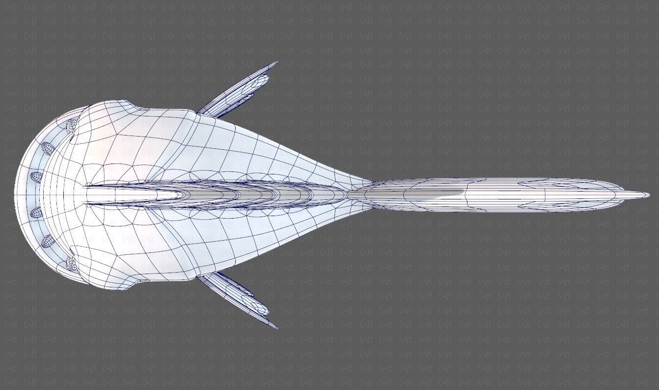 Fish V09 Low-poly 3D model_34