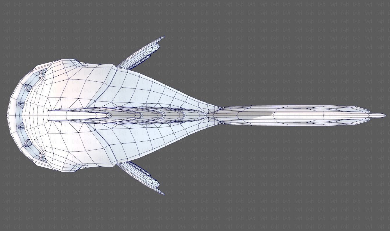 Fish V09 Low-poly 3D model_36