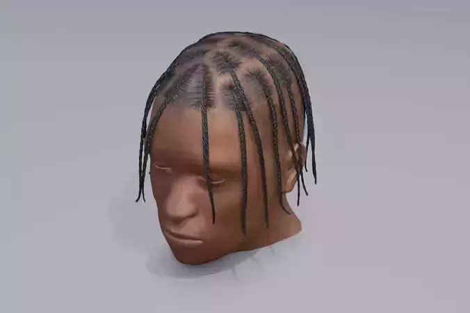 Male afro hair braids 3d Model  - v04 Low-poly 3D model