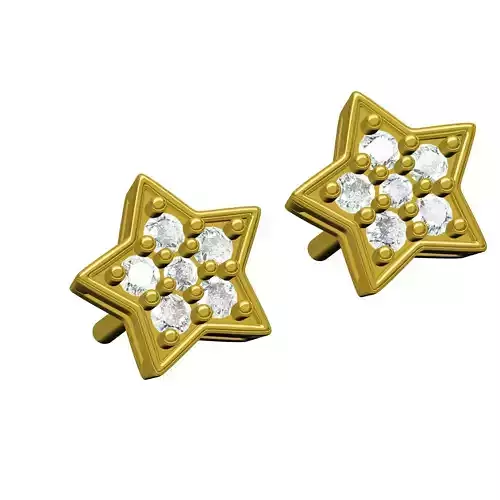 Star Stud Earring