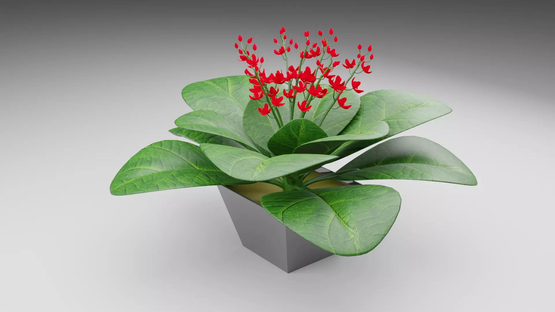 3D Flower Tree Low-poly 3D model