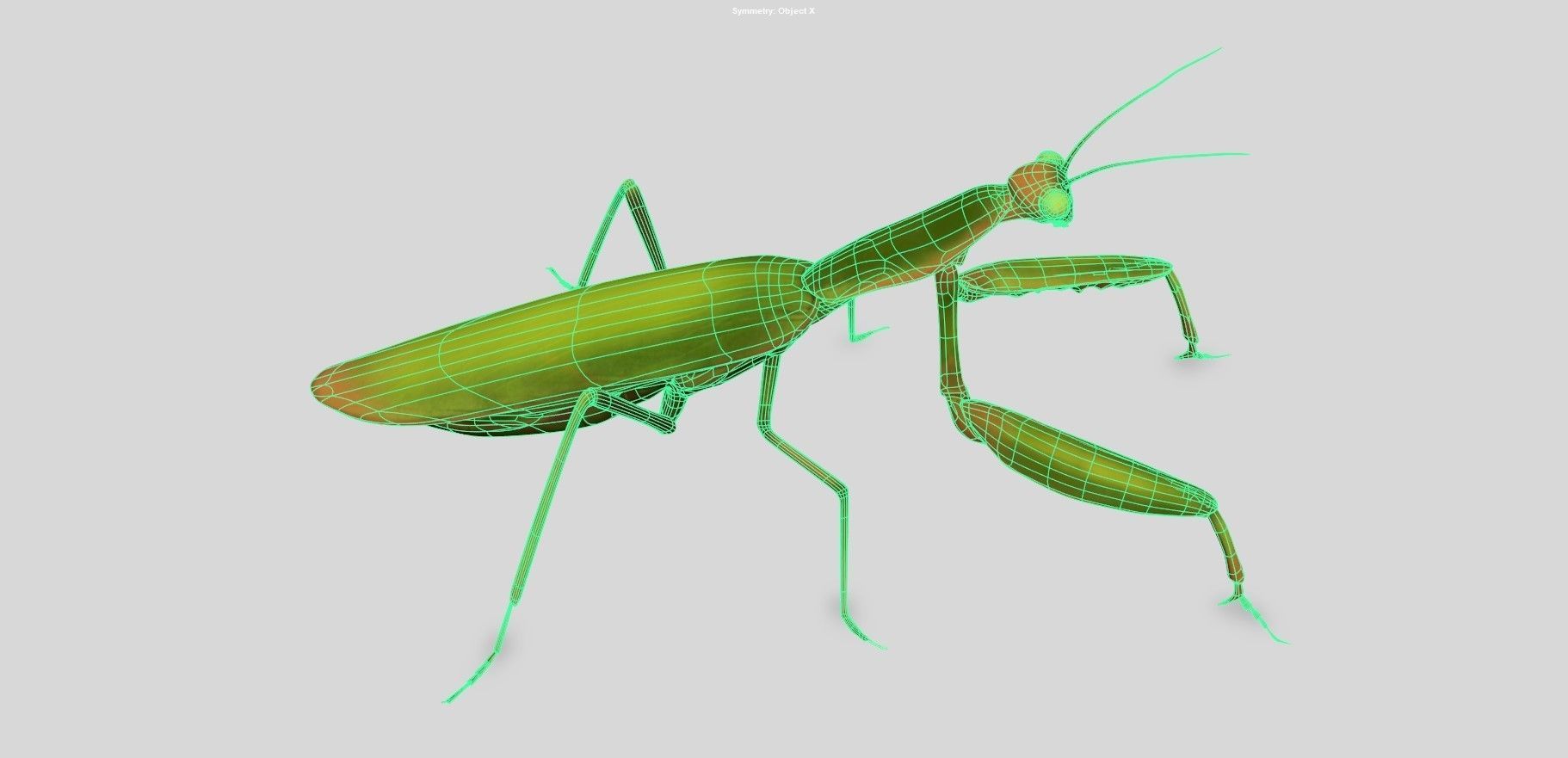 Praying Mantis 3d model 3D model_3