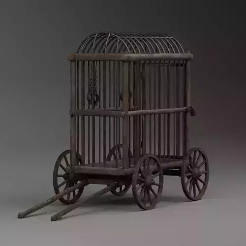 Medieval Prison Cage