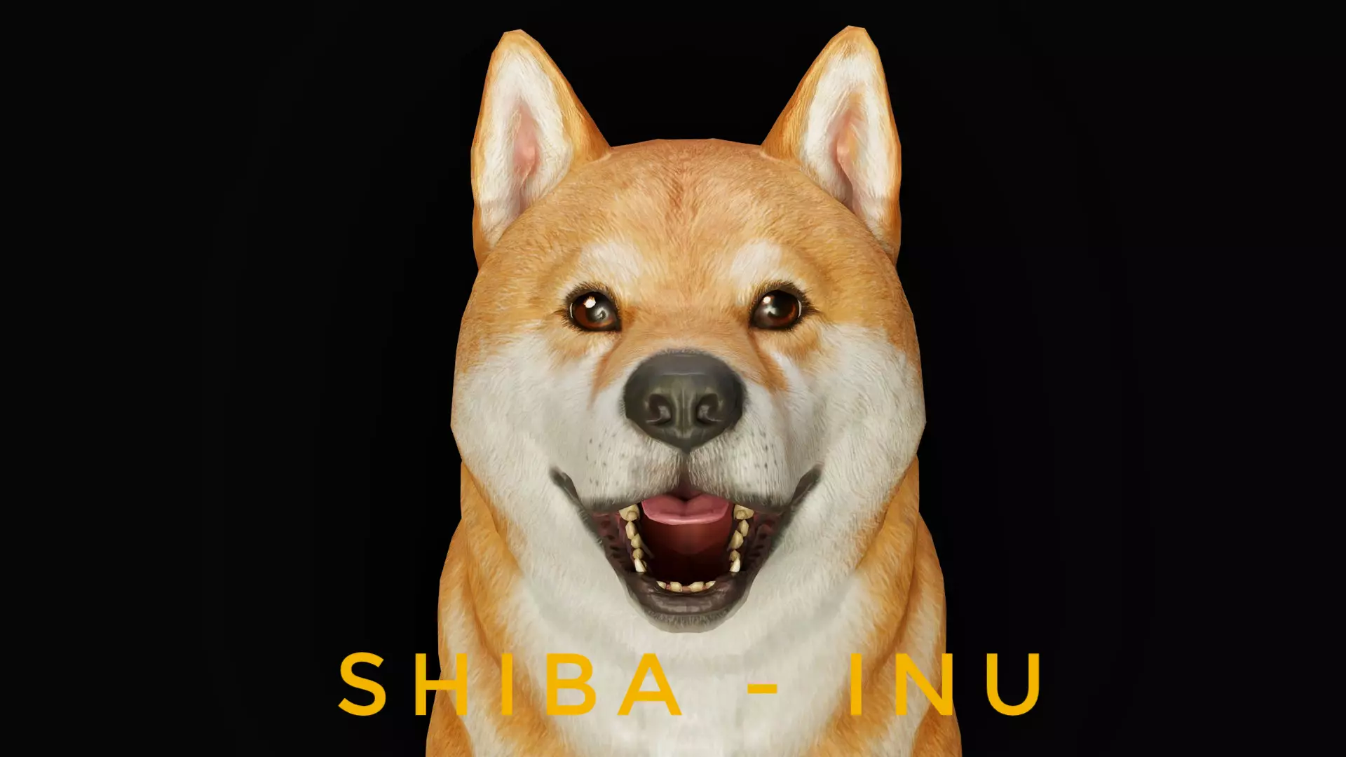 DOG - SHIBA INU Low-poly 3D model_0