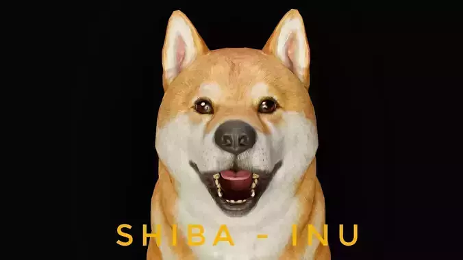 DOG - SHIBA INU Low-poly 3D model