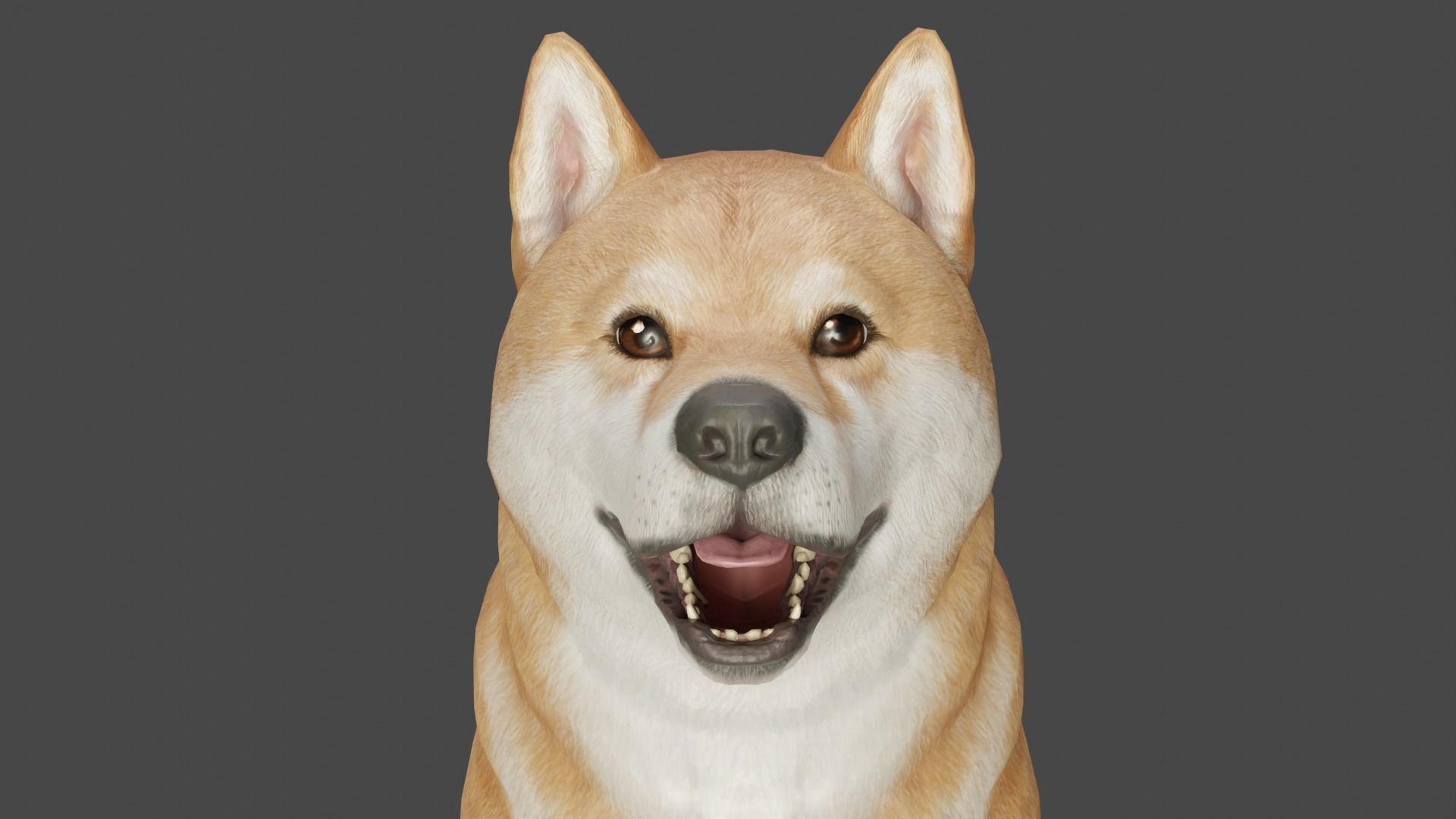DOG - SHIBA INU Low-poly 3D model_8
