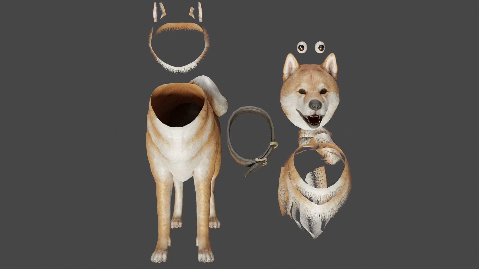DOG - SHIBA INU Low-poly 3D model_14