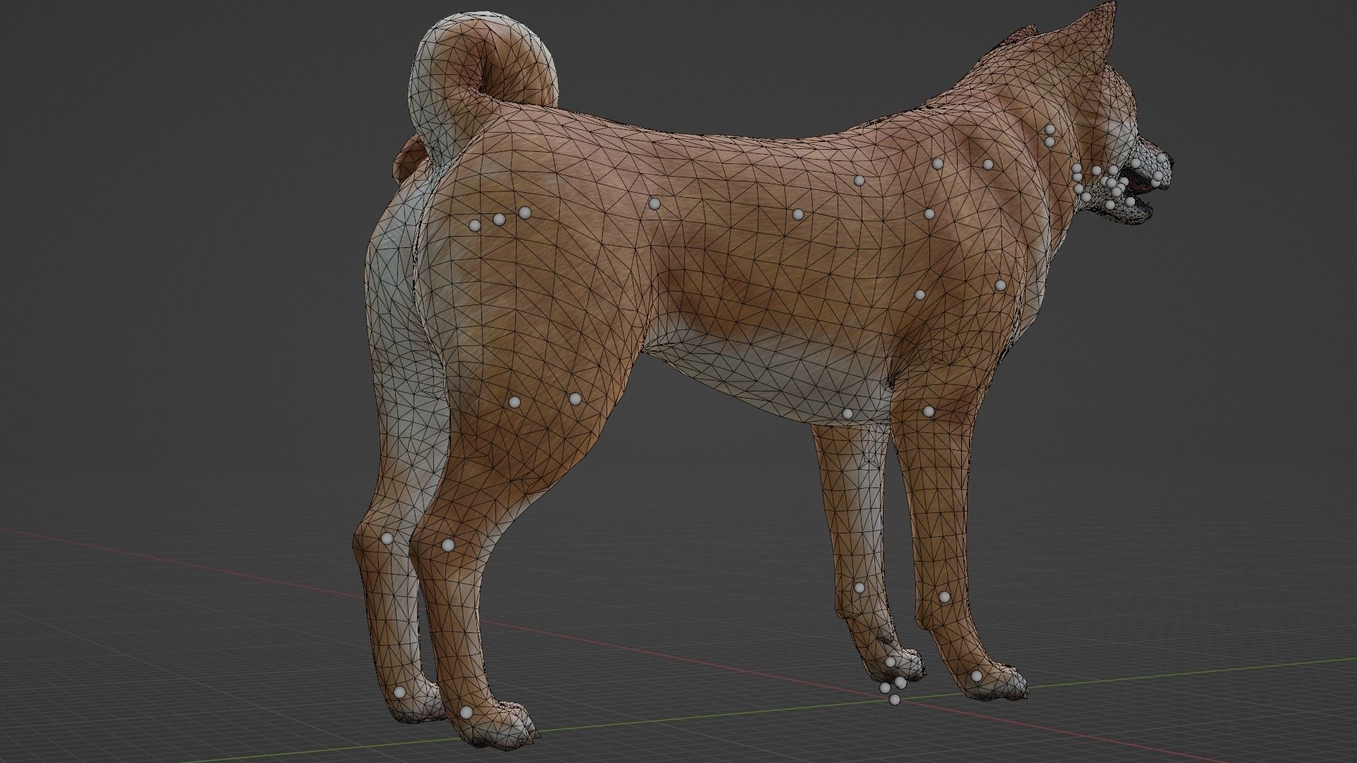 DOG - SHIBA INU Low-poly 3D model_10