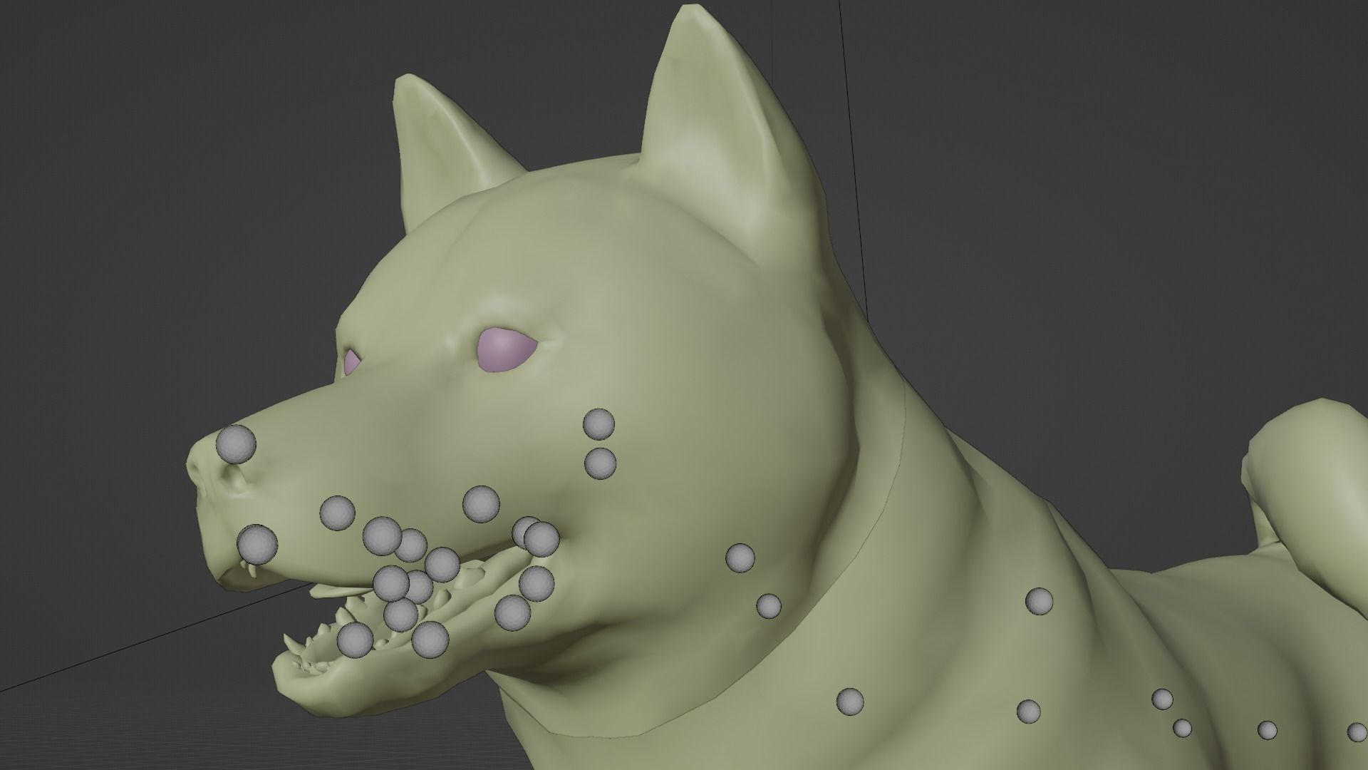 DOG - SHIBA INU Low-poly 3D model_2