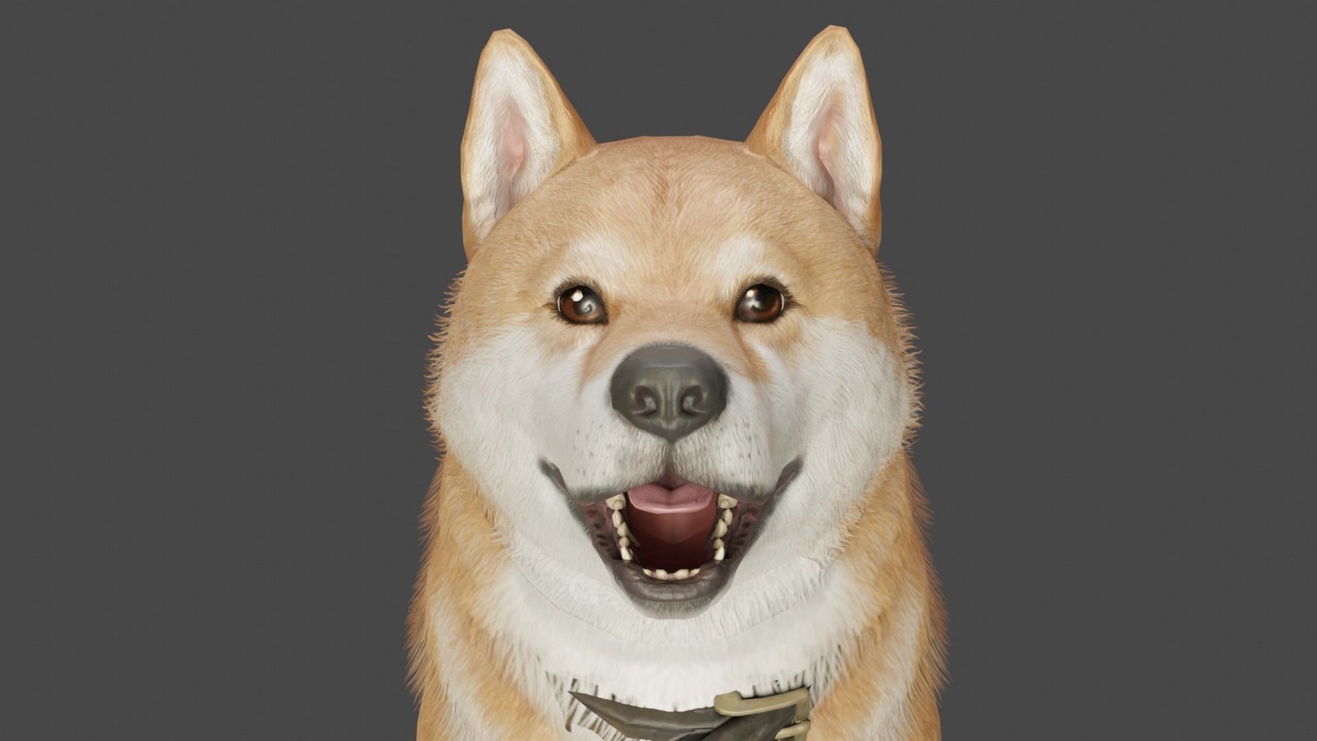 DOG - SHIBA INU Low-poly 3D model_7