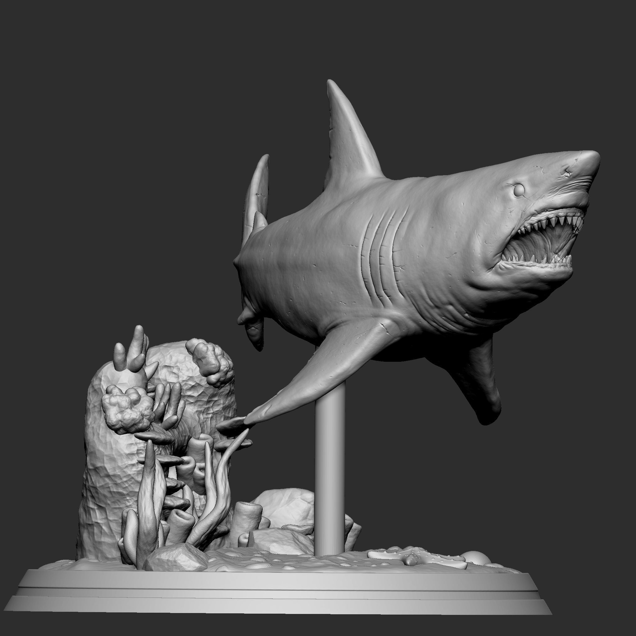 GREAT WHITE SHARK 3D print model_4