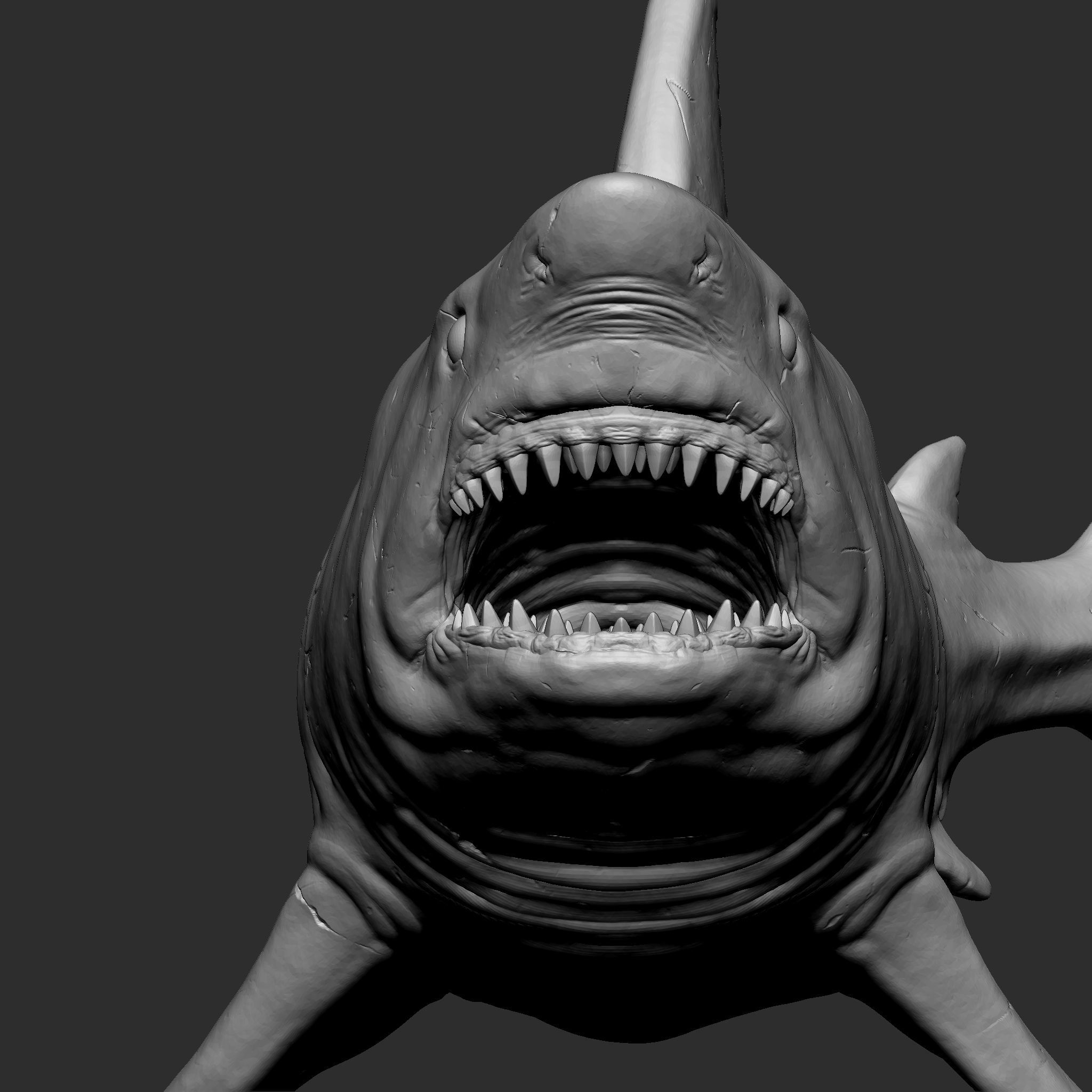 GREAT WHITE SHARK 3D print model_2