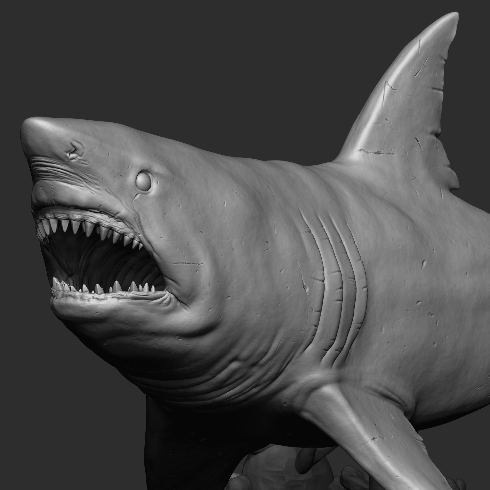 GREAT WHITE SHARK 3D print model_8