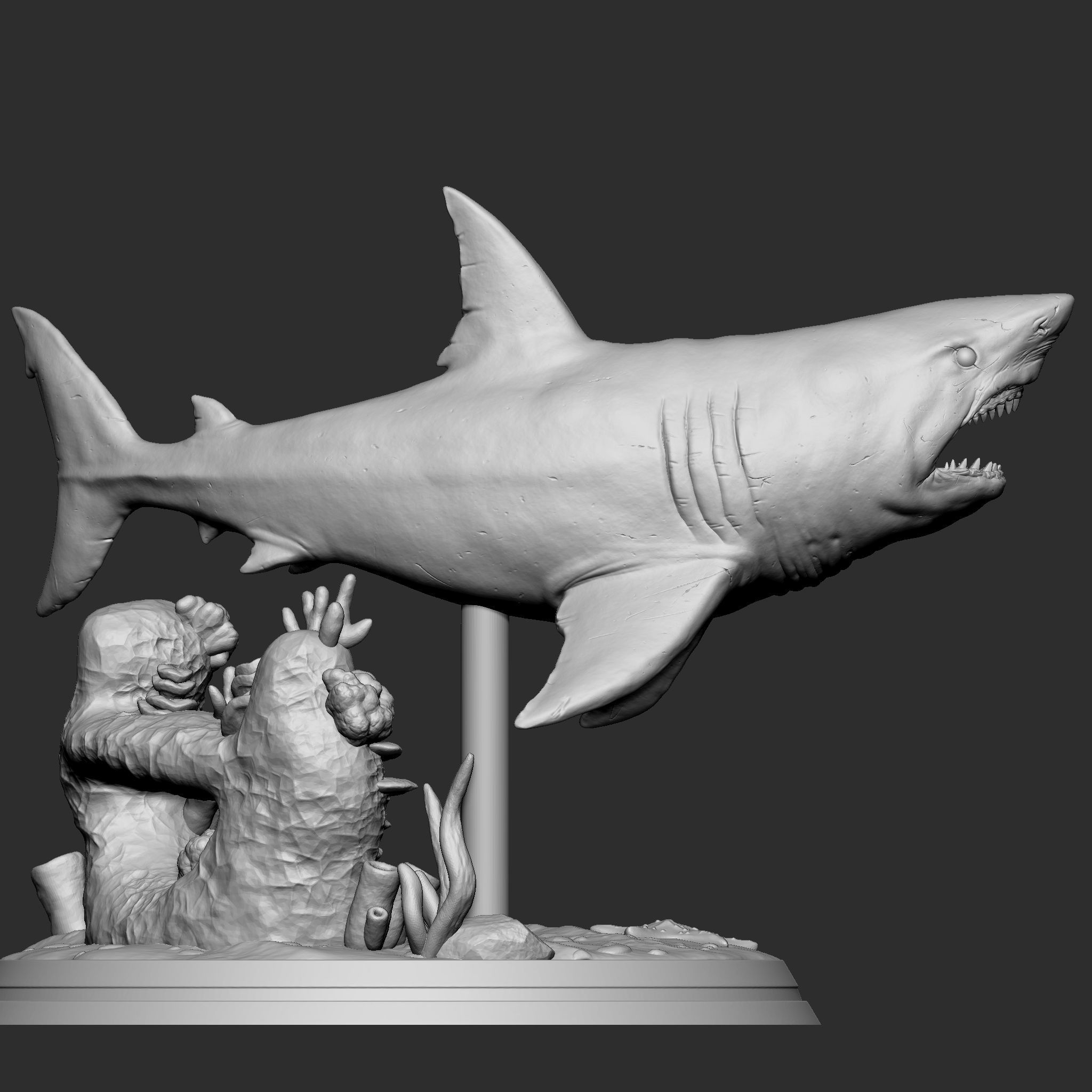 GREAT WHITE SHARK 3D print model_5