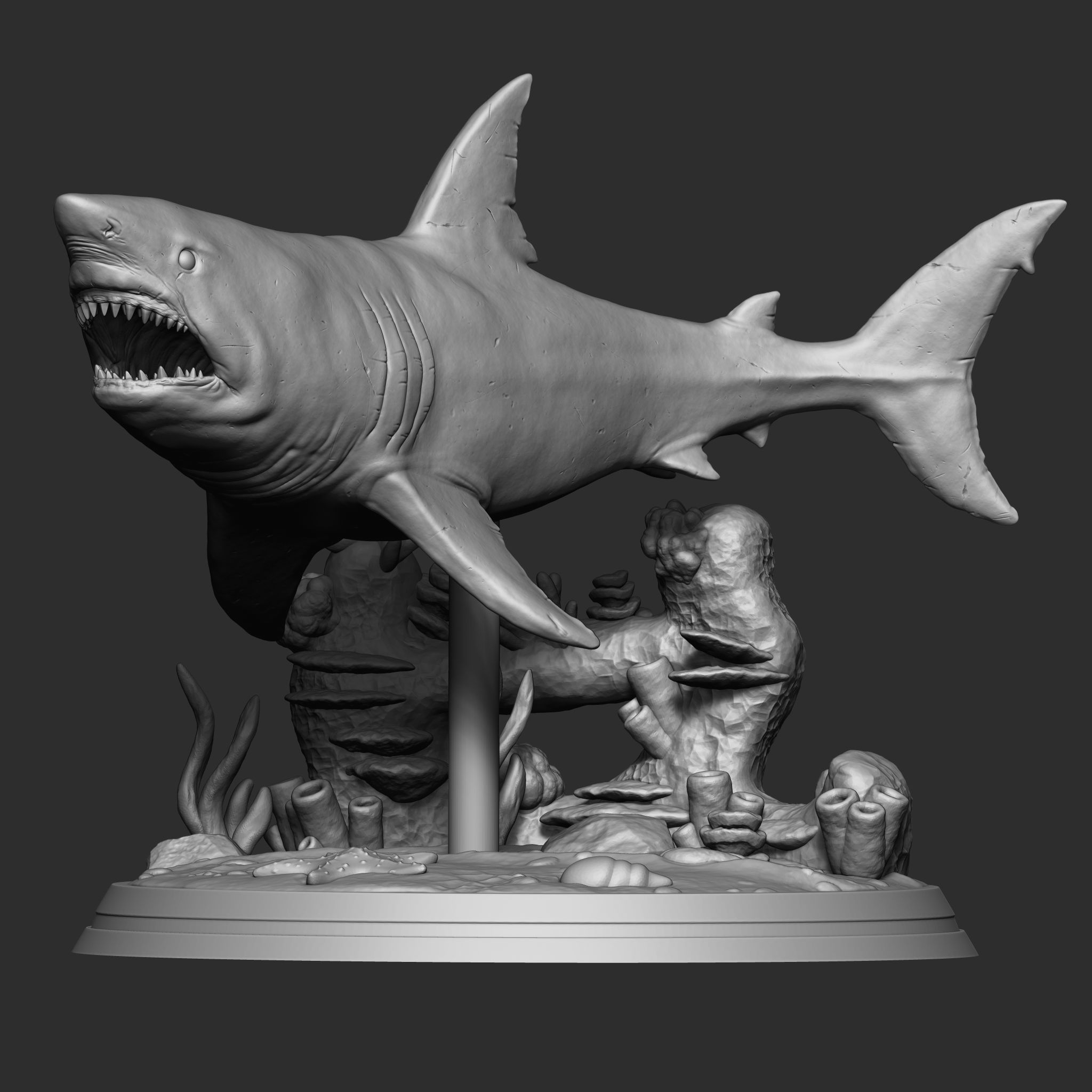 GREAT WHITE SHARK 3D print model_1