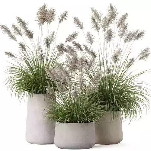 Plants collection 909 3D model