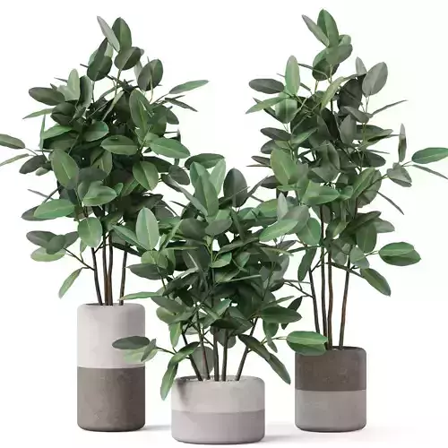 Plants collection 910 3D model