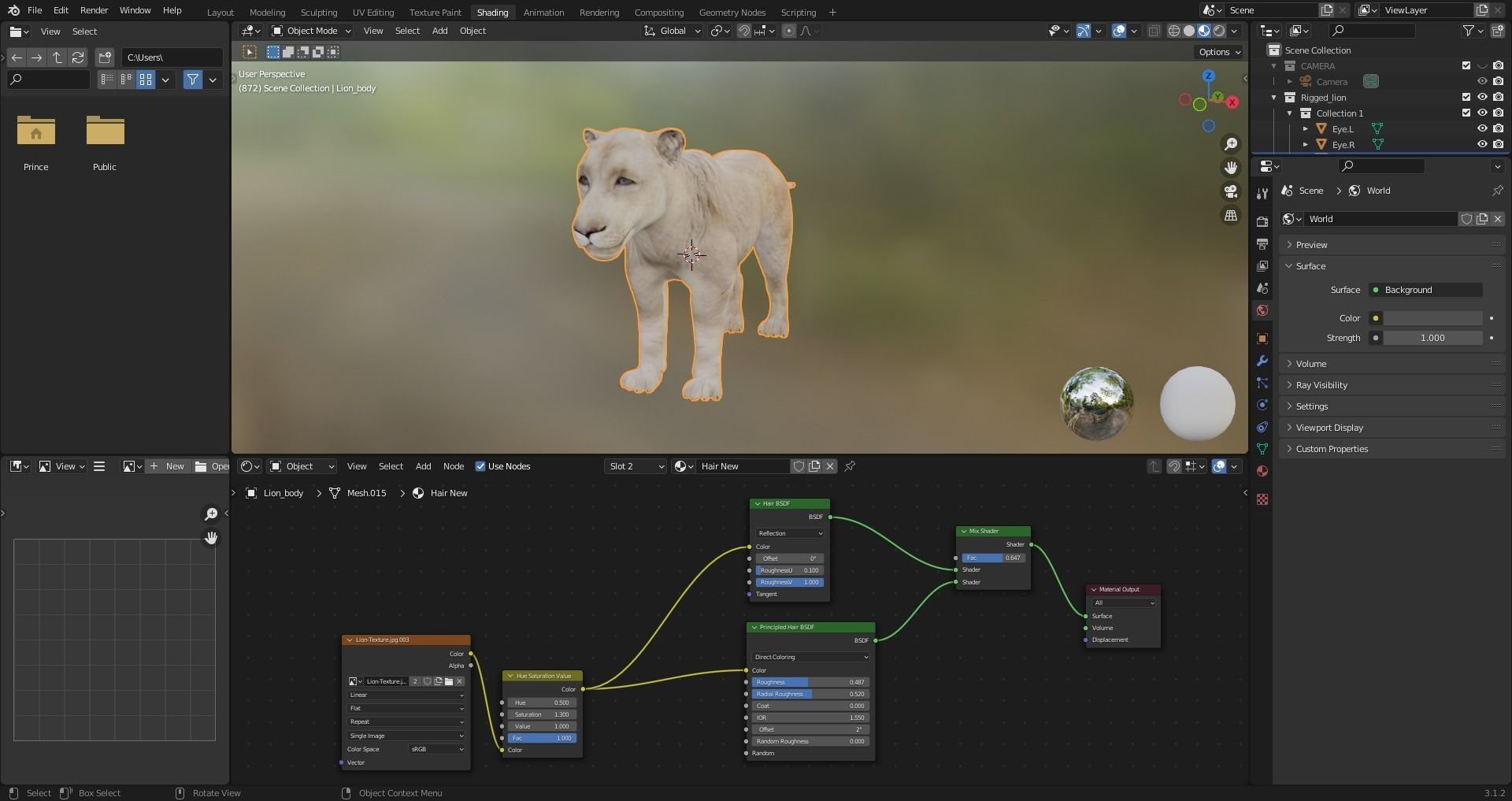 3D Fur White Lion Rigged and Animation in Blender Low-poly 3D model_22