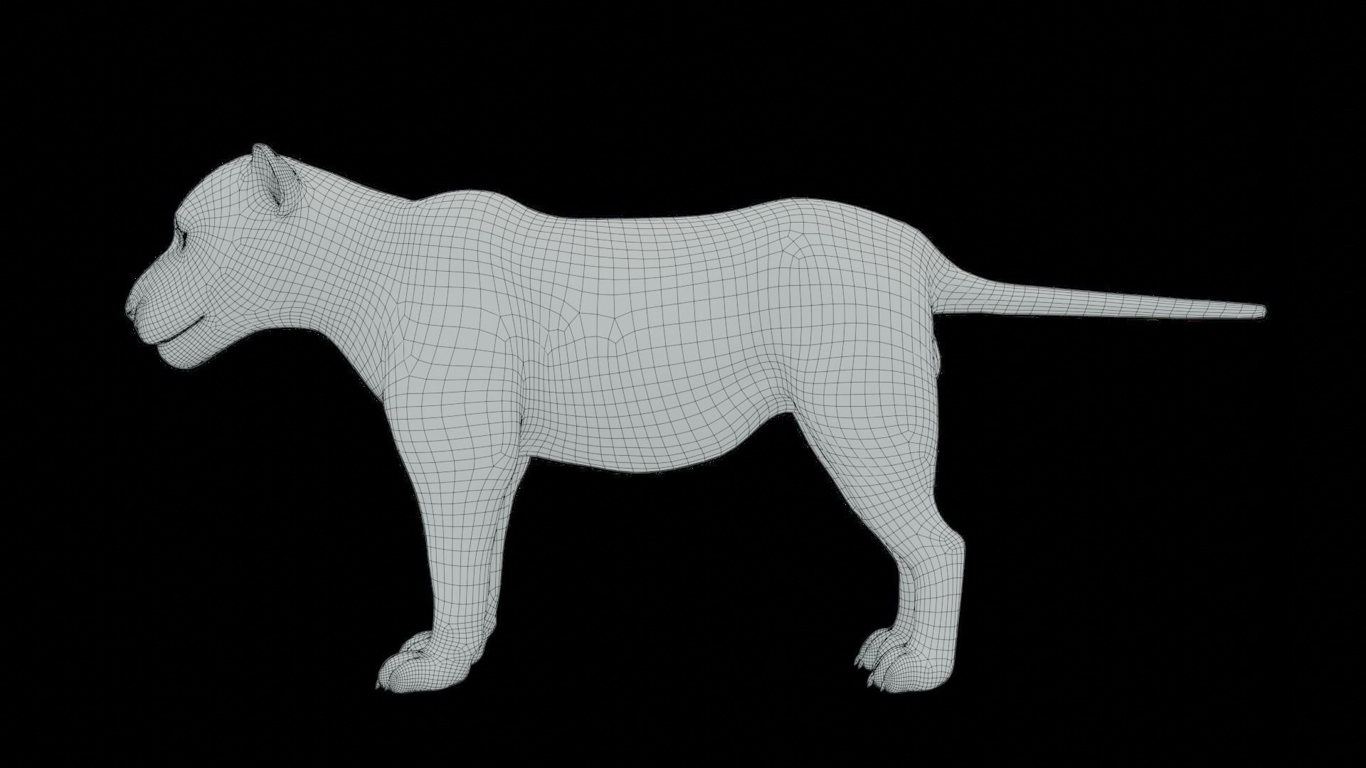 3D Fur White Lion Rigged and Animation in Blender Low-poly 3D model_34
