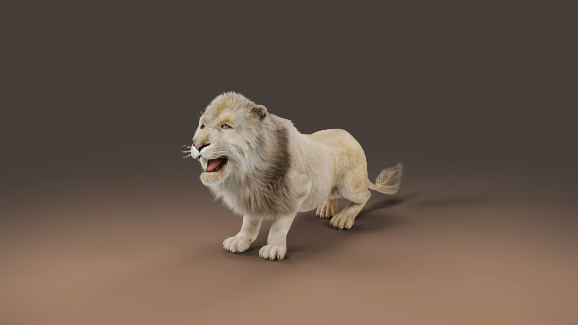 3D Fur White Lion Rigged and Animation in Blender Low-poly 3D model_7