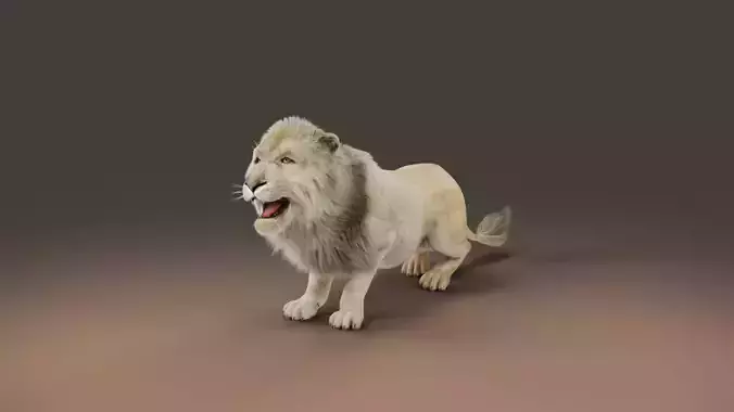 Fur White Lion Rigged in Blender 