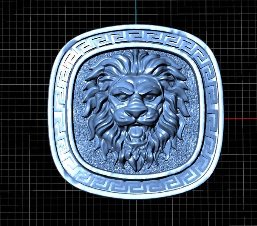 zbrush Ring collection 3D print model_37