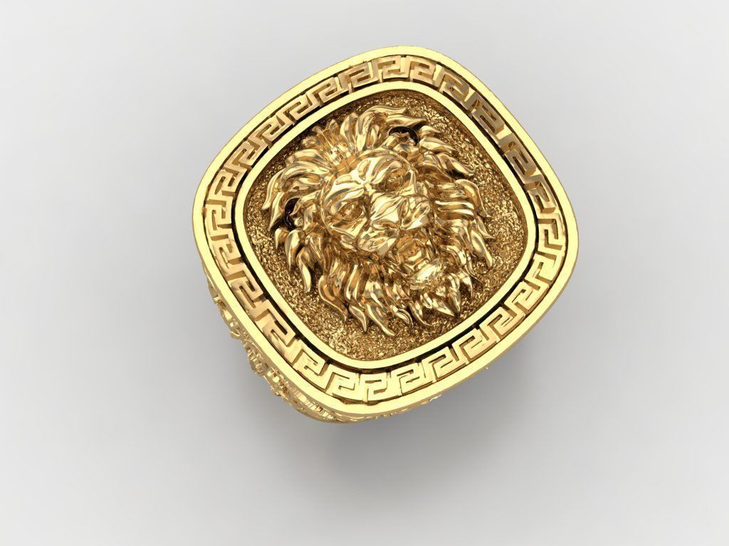 zbrush Ring collection 3D print model_6