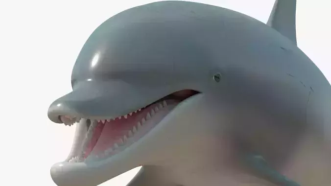 4K Textures Dolphin No Rigging Low-poly 3D model
