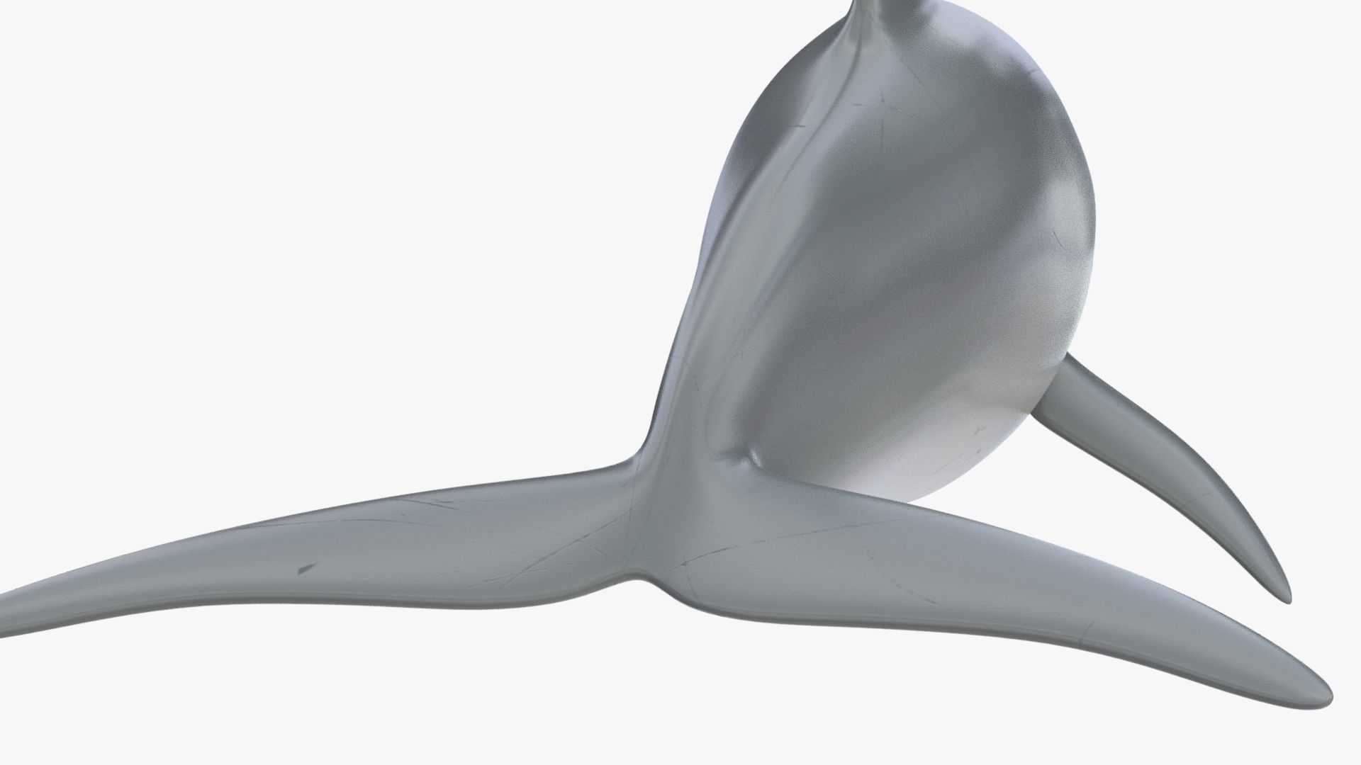 4K Textures Dolphin No Rigging Low-poly 3D model_12