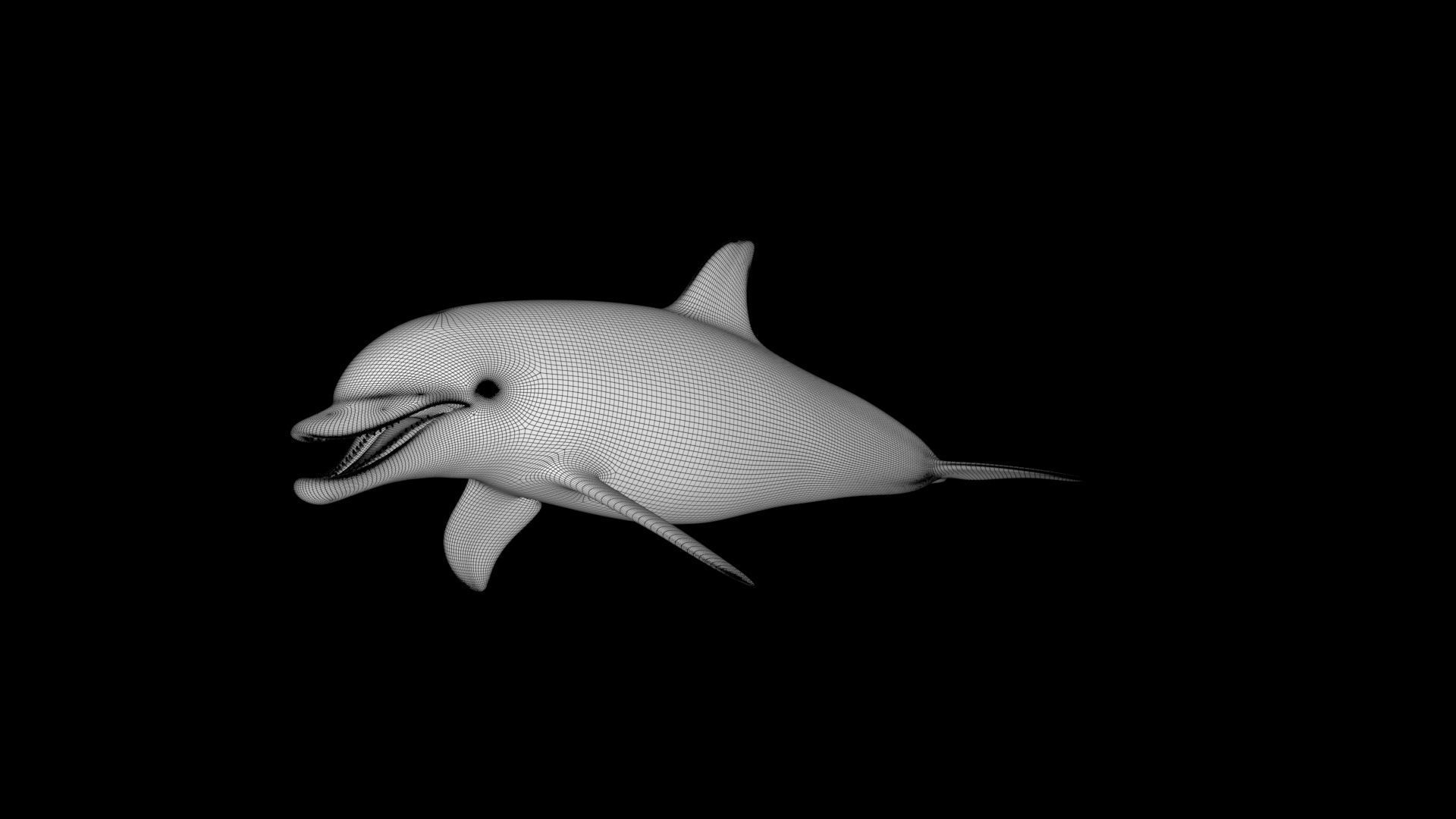 4K Textures Dolphin No Rigging Low-poly 3D model_14