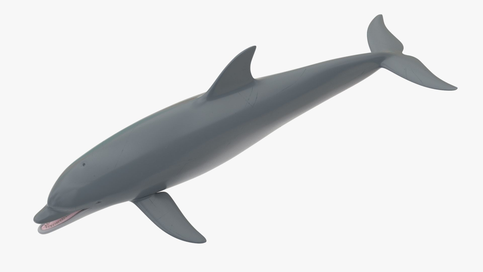 4K Textures Dolphin No Rigging Low-poly 3D model_5