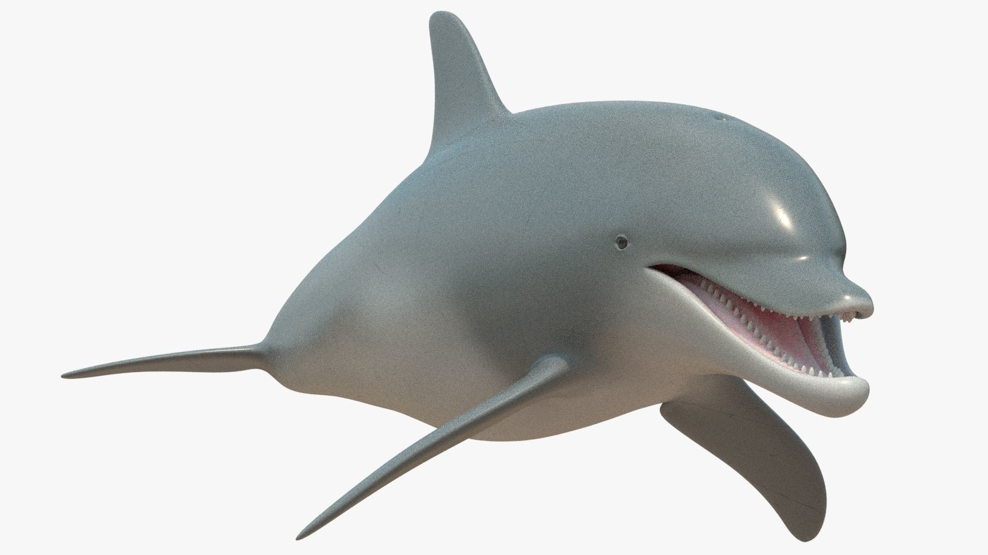 4K Textures Dolphin No Rigging Low-poly 3D model_2