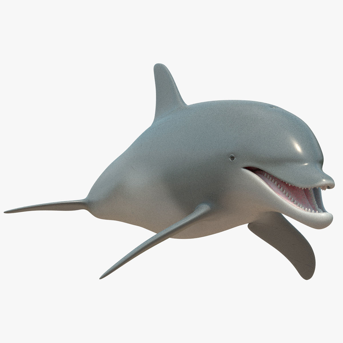 4K Textures Dolphin No Rigging Low-poly 3D model_13