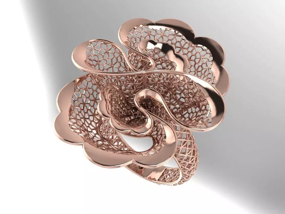 TURKEY RING 3D print model
