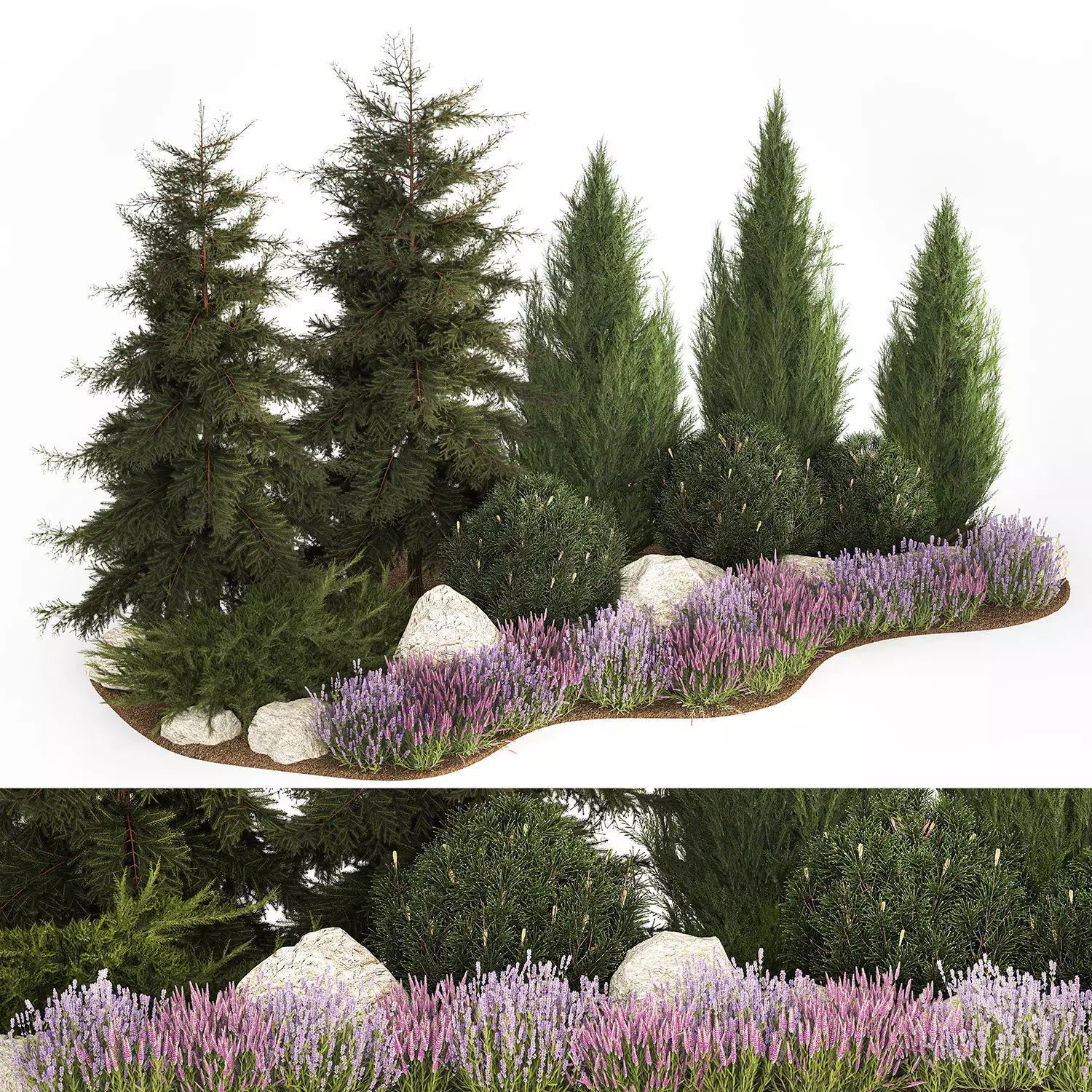 Alpine hill fir tree thuja juniper and lavender bushes 1206 3D model