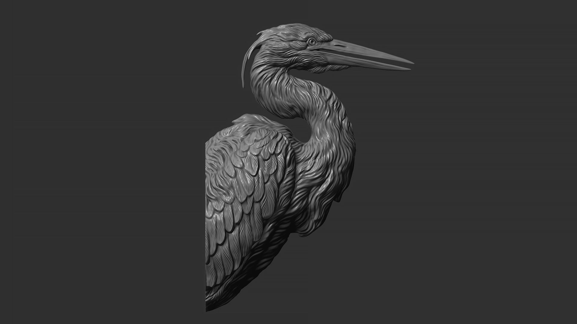 Grey Heron bust  3D print model_18