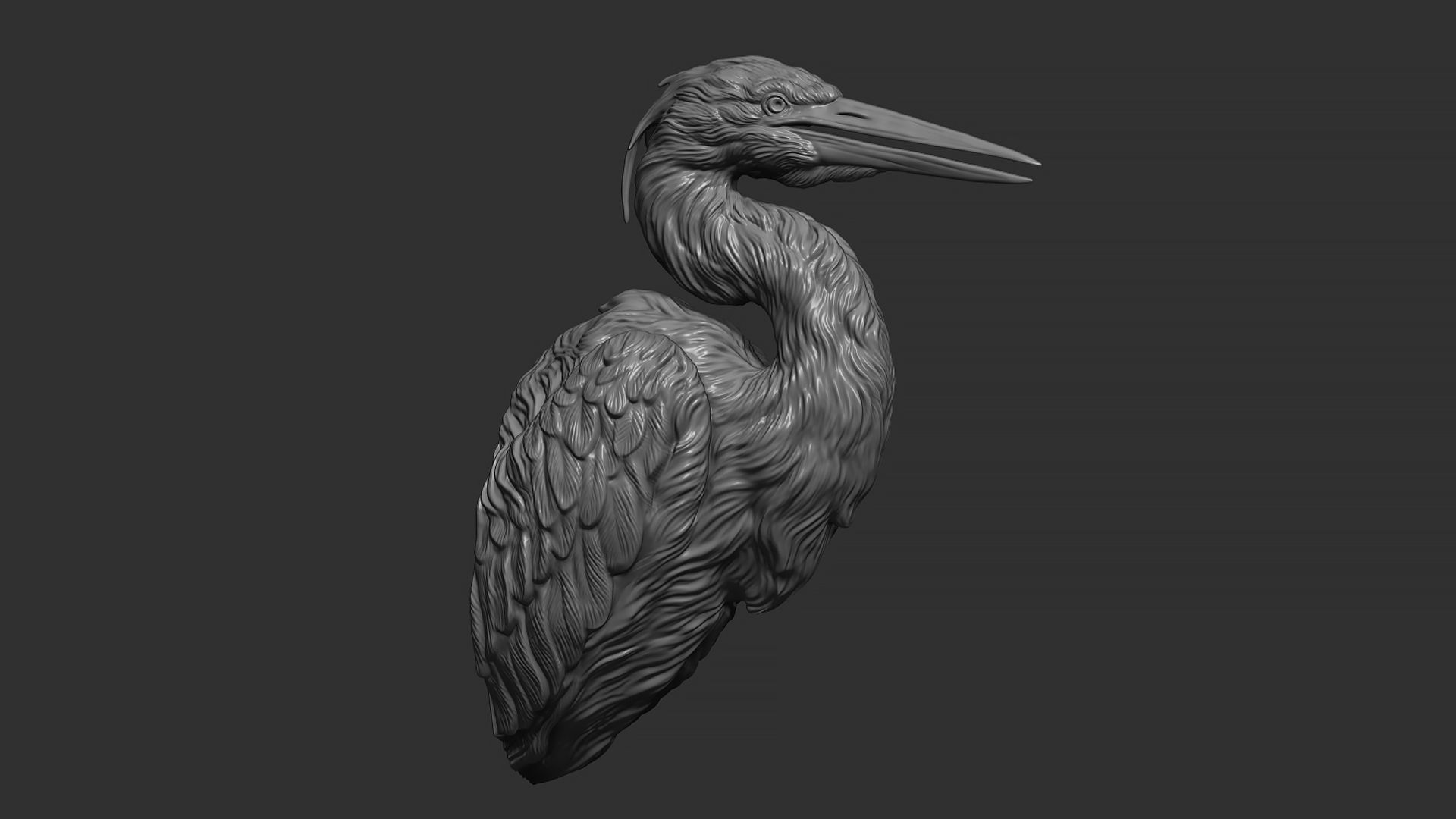 Grey Heron bust  3D print model_19