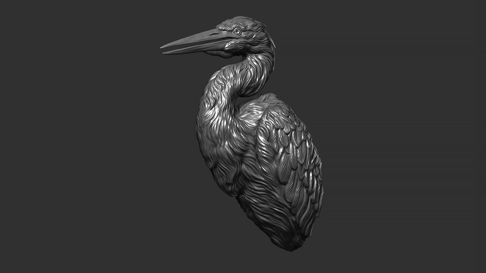 Grey Heron bust  3D print model_9