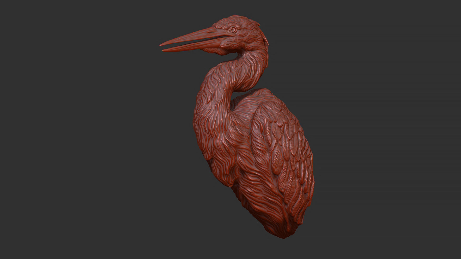 Grey Heron bust  3D print model_11