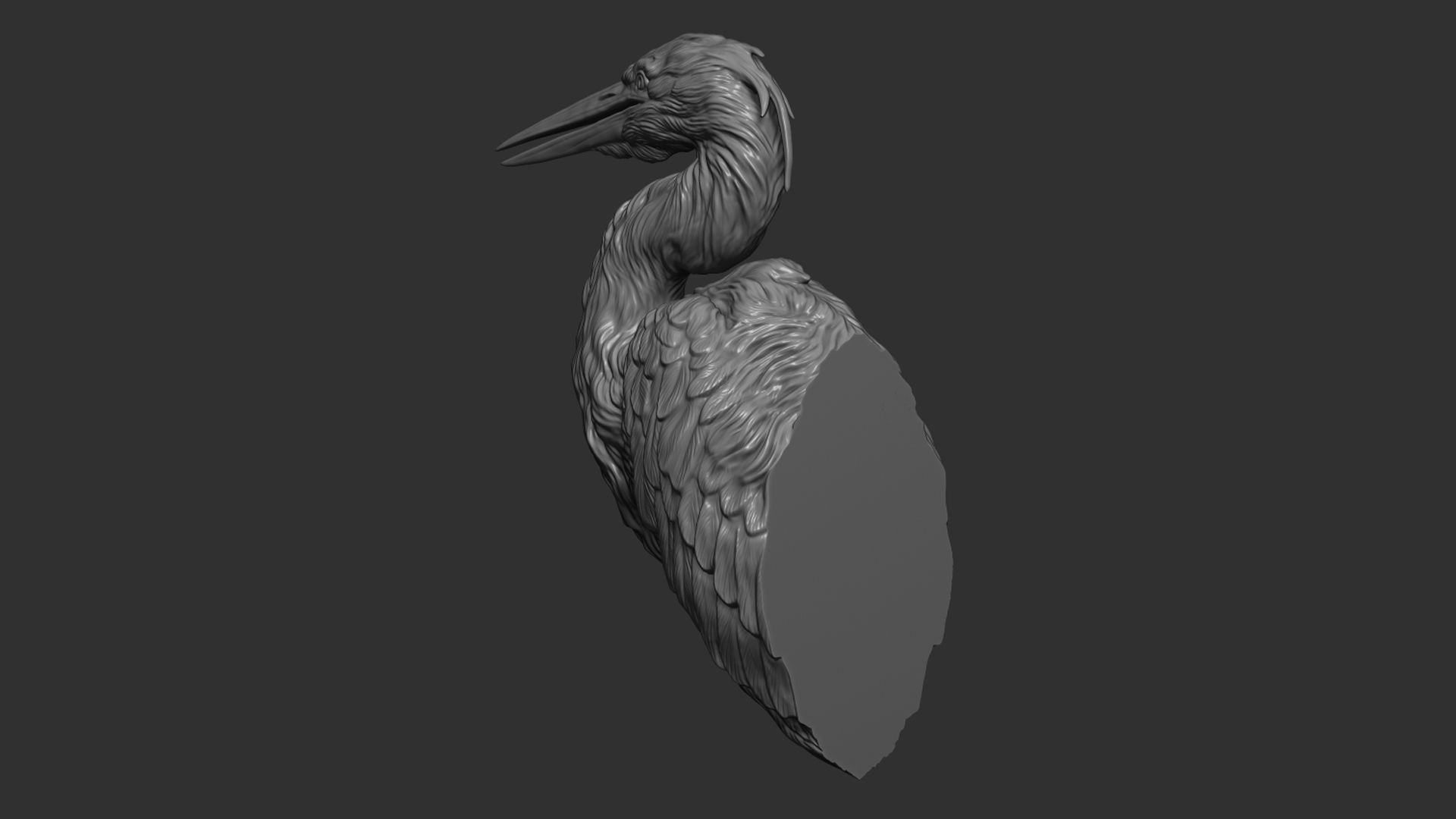 Grey Heron bust  3D print model_20