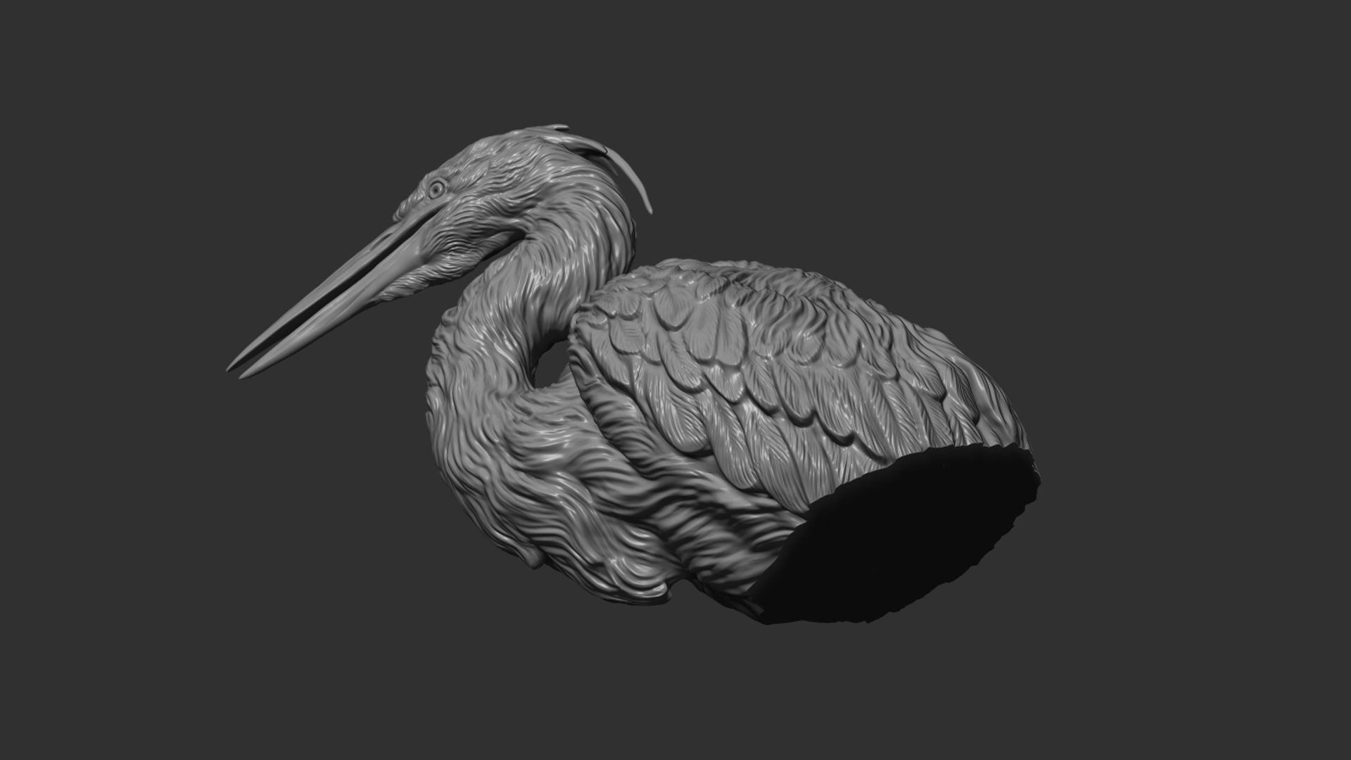 Grey Heron bust  3D print model_23