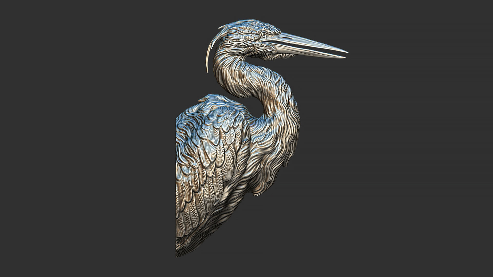 Grey Heron bust  3D print model_4