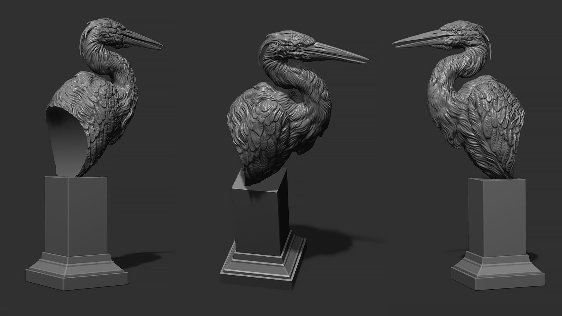 Grey Heron bust  3D print model_1