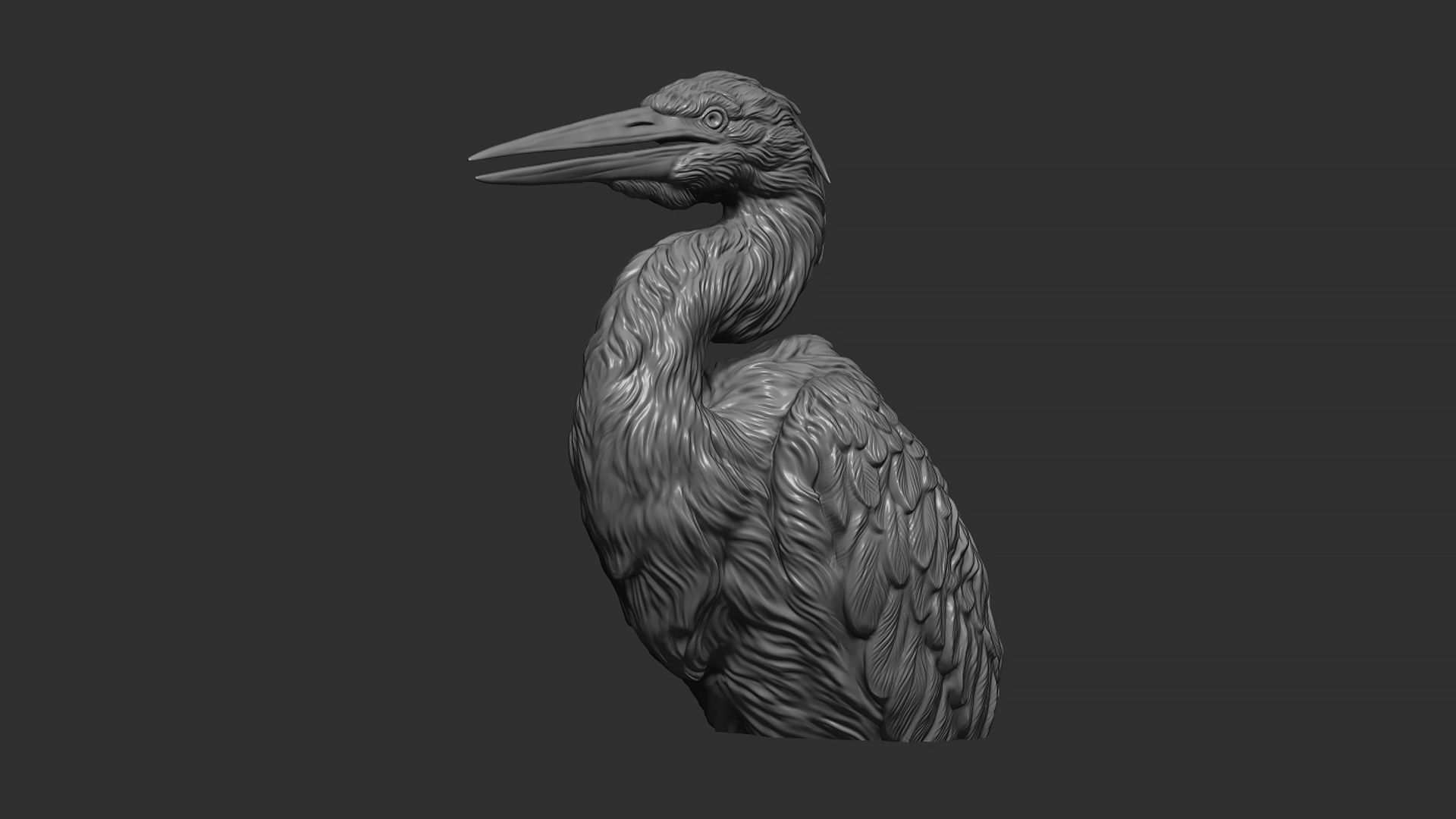 Grey Heron bust  3D print model_22