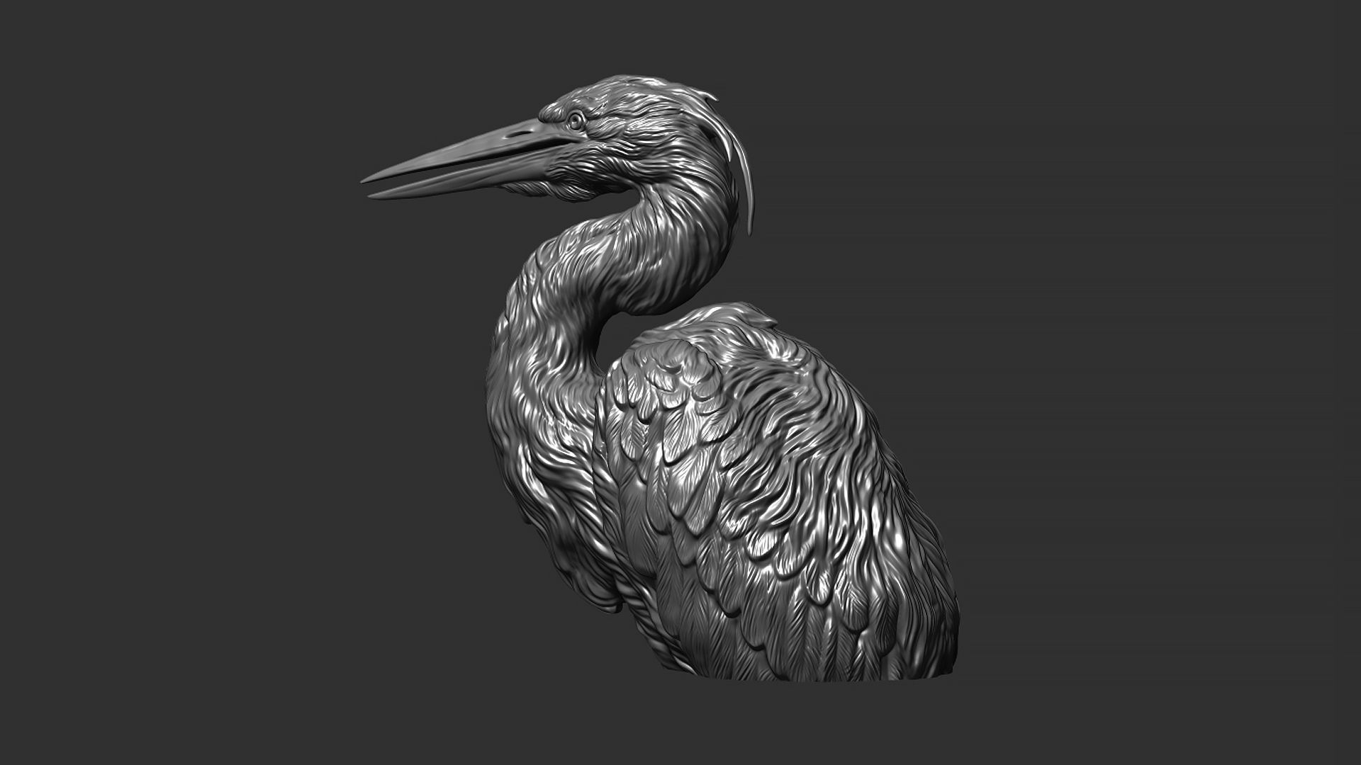 Grey Heron bust  3D print model_10